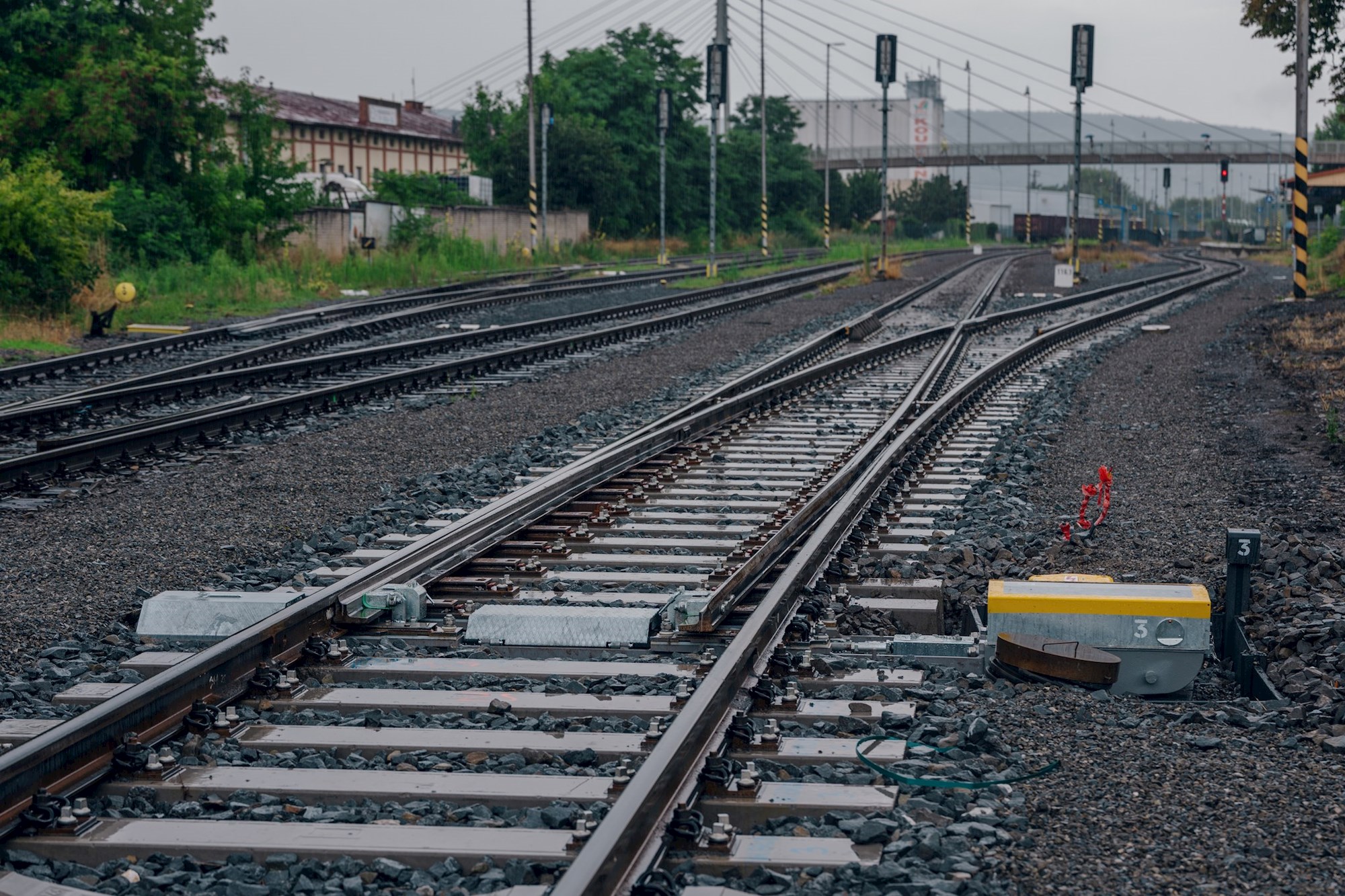 601341082 1453437616789497 5147369001773784895 N